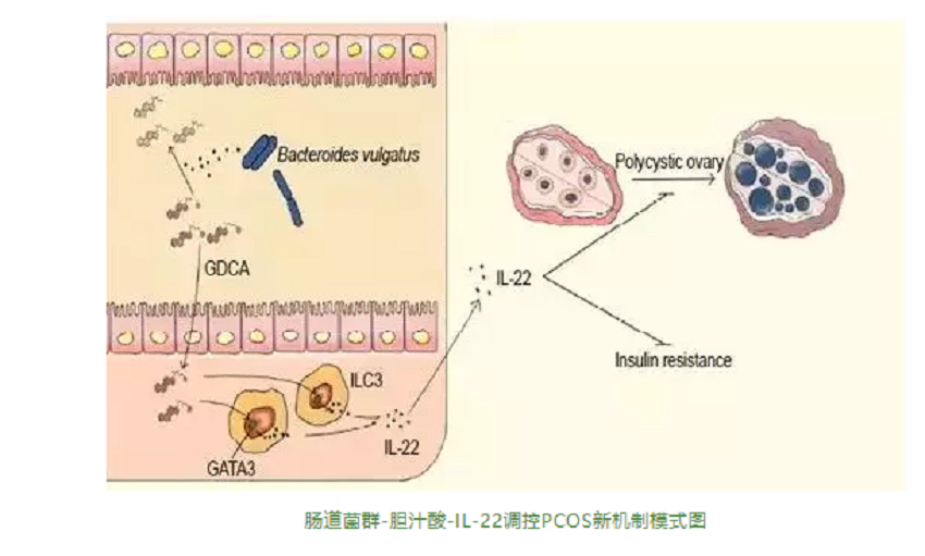 图片14.png