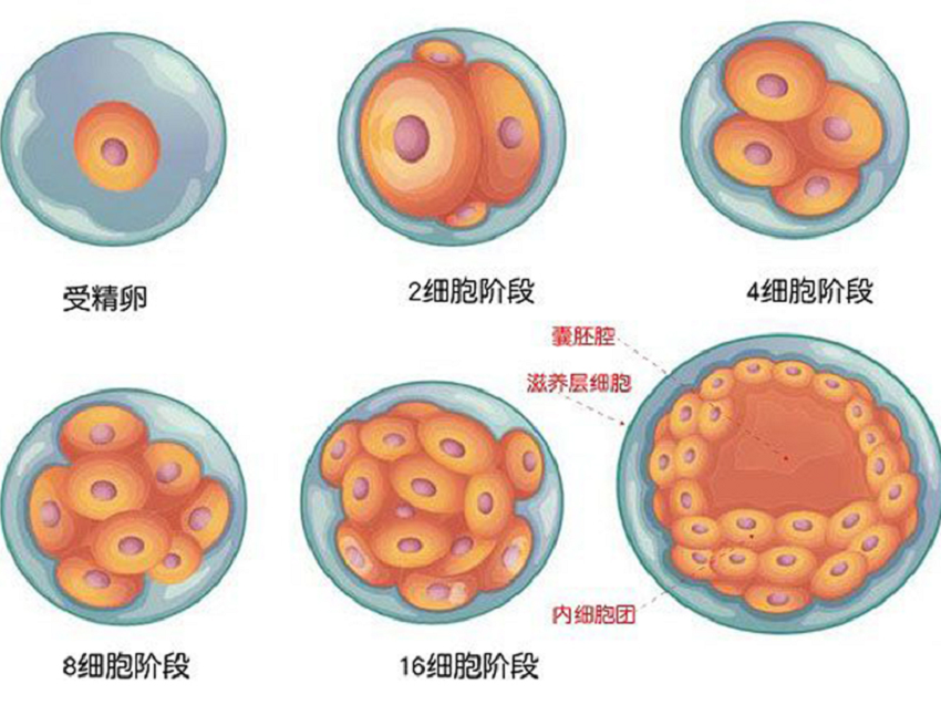 微信图片_20230703230944.png